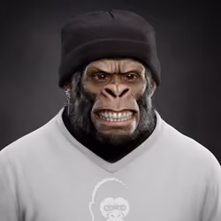 Supreme Kong #311