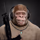 Supreme Kong #1118