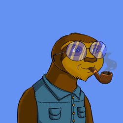 #242