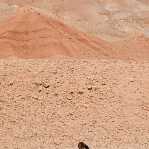 Lonely Landscapes 1