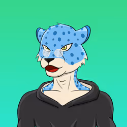 529