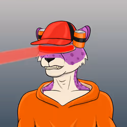 1297