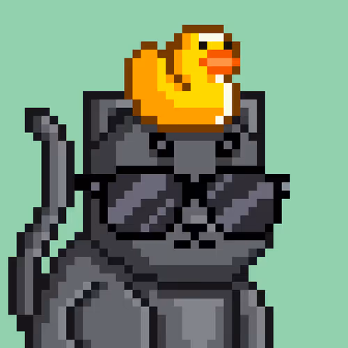 Mooncatz