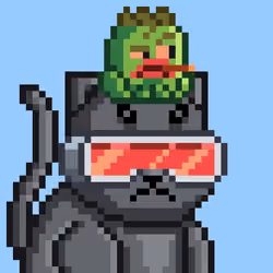 Mooncatz #4428