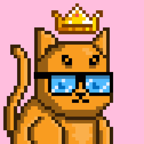 Mooncatz