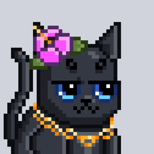 Mooncatz
