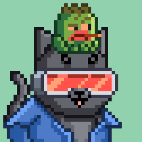 Mooncatz