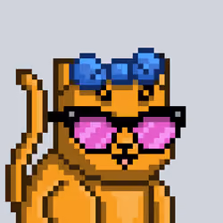 Mooncatz #81