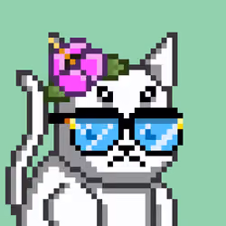 Mooncatz #4890