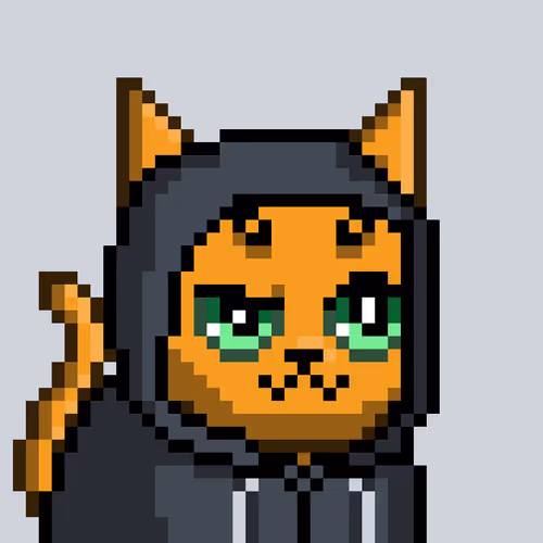 Mooncatz