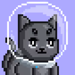 Mooncatz #4400