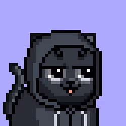 5361