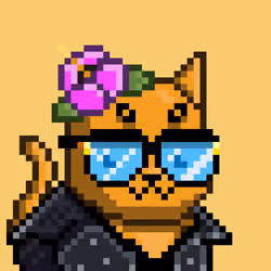 Mooncatz #1502