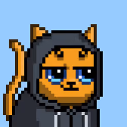 Mooncatz #894