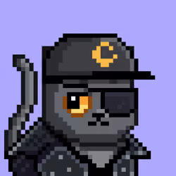 Mooncatz #731
