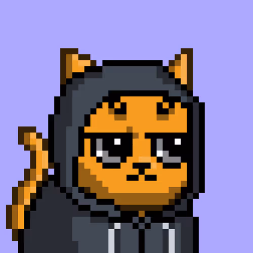 Mooncatz