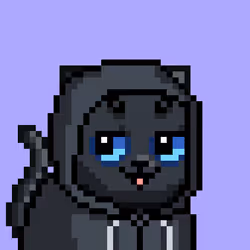 2636