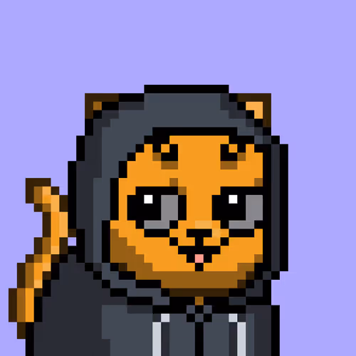 Mooncatz