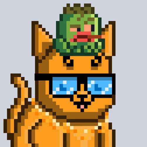 Mooncatz