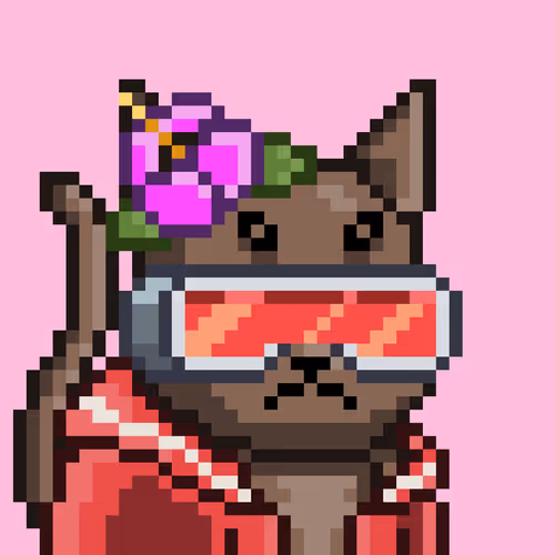 Mooncatz