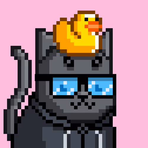 Mooncatz