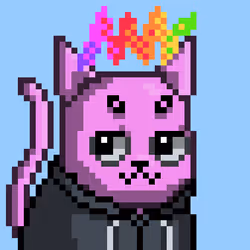 4905