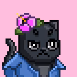 Mooncatz #2507