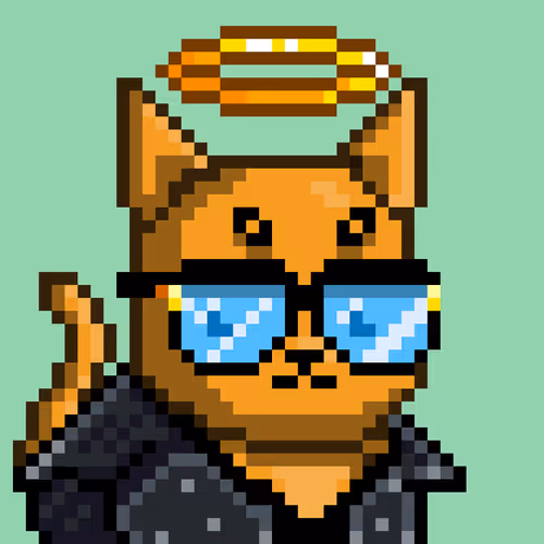 Mooncatz