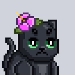 Mooncatz #5126