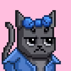 Mooncatz #875