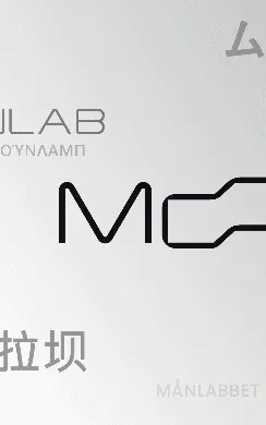Item #16 Media