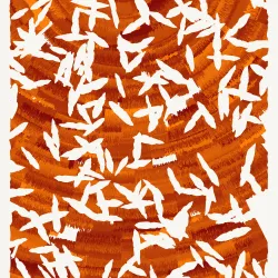 51