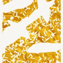 22