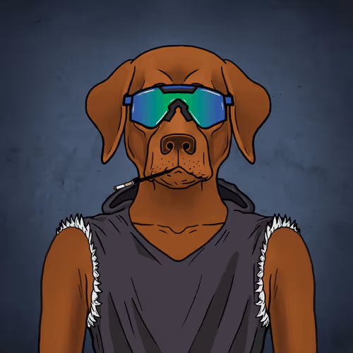 Poker Dawgs Collection