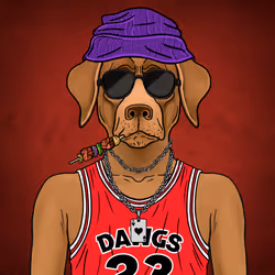 Poker Dawgs #80