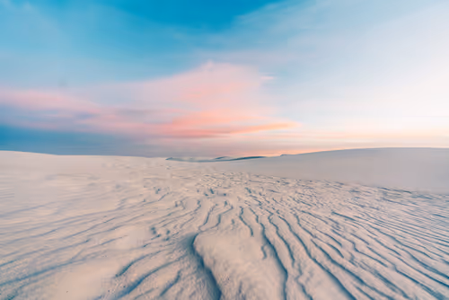 Item #8600020003 Media