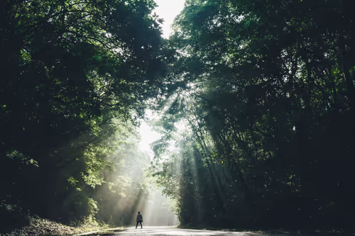 Item #8600090002 Media