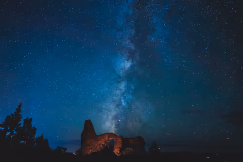 Item #8600070004 Media