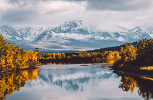 Item #8600100004 Media