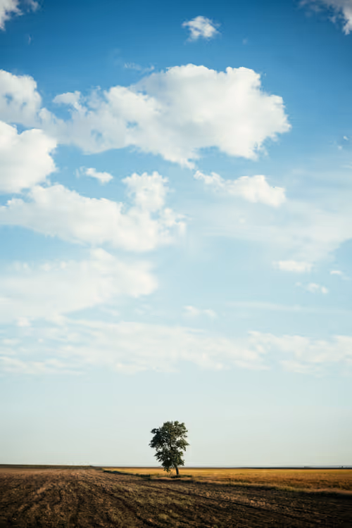 Item #8600030004 Media