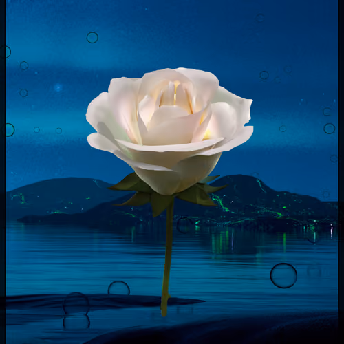 Eternal Rose 27