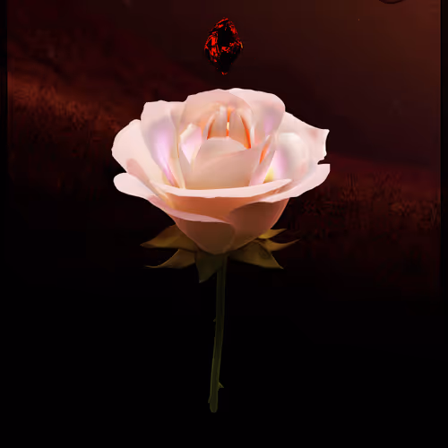Eternal Rose 97