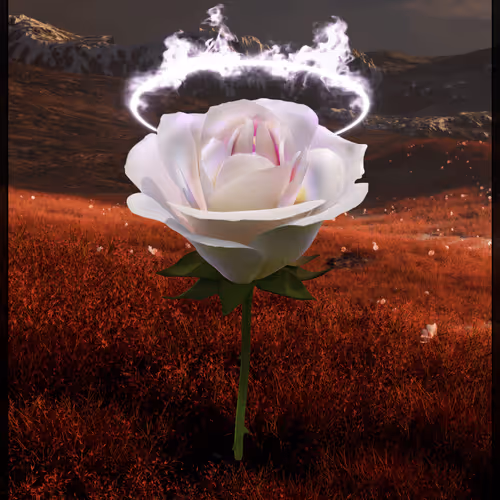Eternal Rose 6