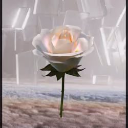 Eternal Rose 615