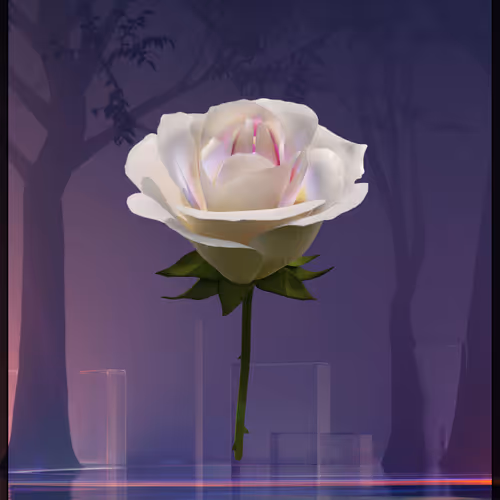 Eternal Rose 165