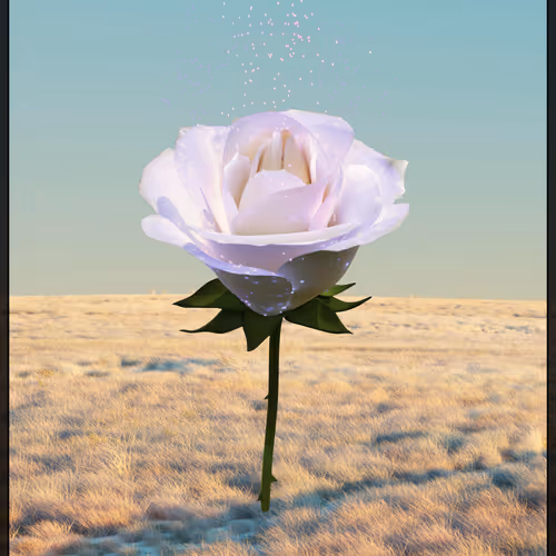 Eternal Rose 168