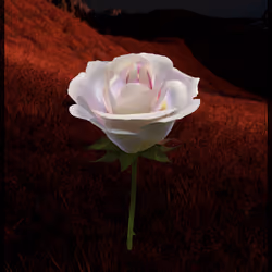 Eternal Rose 1085