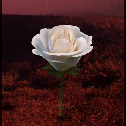 Eternal Rose 177