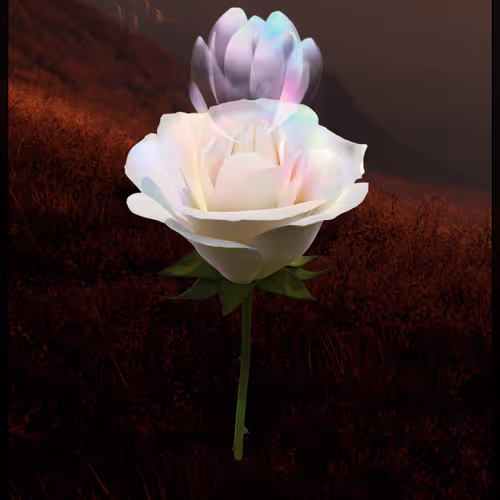 Eternal Rose 4