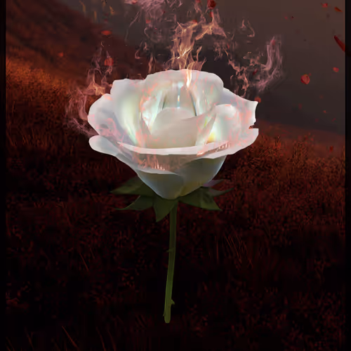 Eternal Rose 982
